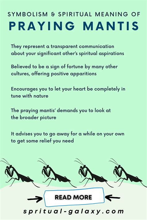 The Enigmatic Praying Mantis: A Symbol of Praying Mantis Magic